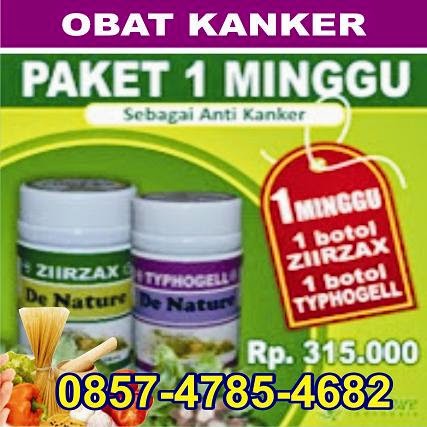 paket obat kanker stadium 1 2 3 4, paket obat kanker stadium parah, paket obat kanker stadium lanjut, paket obat kanker stadium kronis