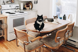 The Relaxed Beige-Tinted Story Of Audrey Rivet