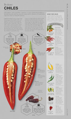 The Science of Cooking Every Question Answered to Perfect Your Cooking