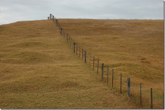 Glenample paddocks