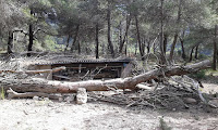 Observatori de fauna el Bunquer. Vallbona de les Monges