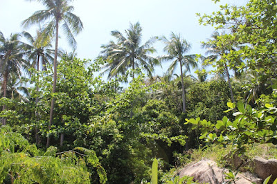 Koh Phangan