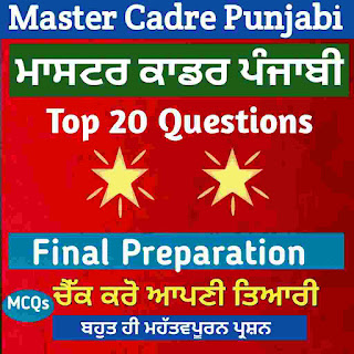 Punjabi Litrature Master Cadre Preparation - Top 20 Questions