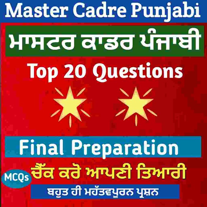 Punjabi Litrature Master Cadre Preparation - Top 20 Questions 