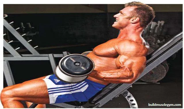 Seated Dumbbell Hammer Biceps Curls