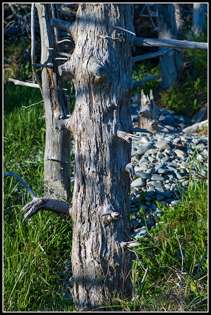 Green Bay; Nova Scotia