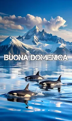 Immagini Buona Domenica bellissime da condividere