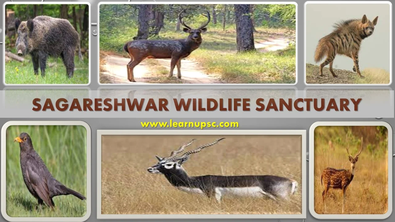 Sagareshwar Wildlife Sanctuary