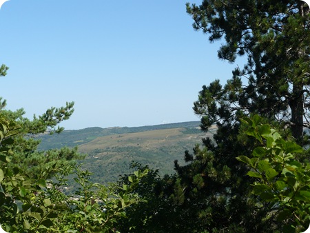 P1190662