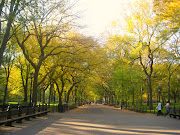 Sunday stroll thru Central Park. ﻿. What a gorgeous weekend in NYC! (central park the mall )