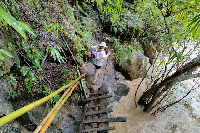 Trekking in Mae Wang National Park