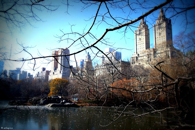 Central park-New York
