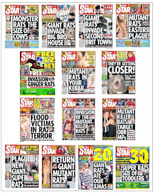 daily star rats