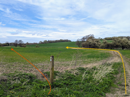 Turn left, still on Thundridge bridleway 24