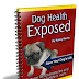 Dog Care Guide pdf