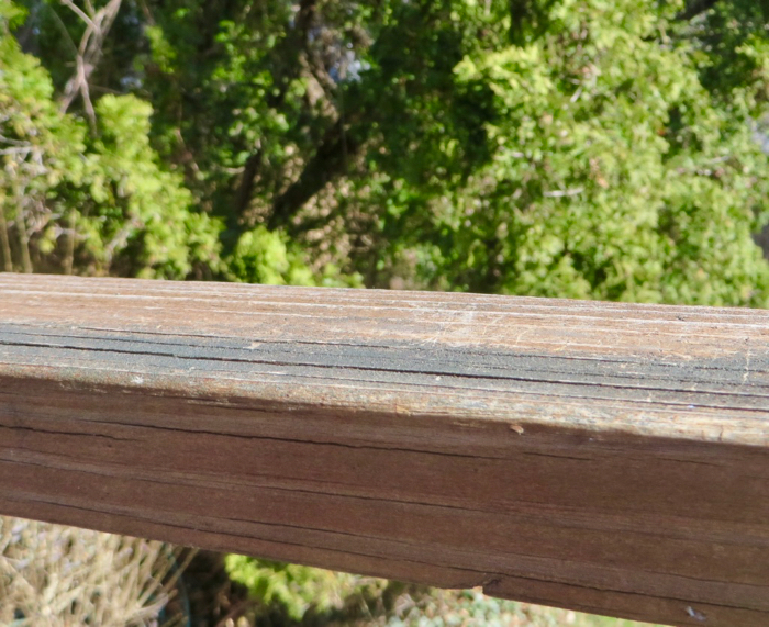 A wooden porch railing, with greenery in the background