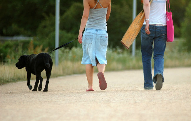 Donne che passeggiano con il cane