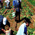 Εργάτες γης: Τροπολογία για παράταση της μετάκλησης τους
