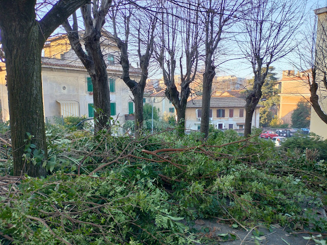 Roma verde a distrutto