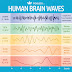 Brain Wave States
