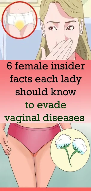 6 female insider facts each lady should know to evade vaginal diseases