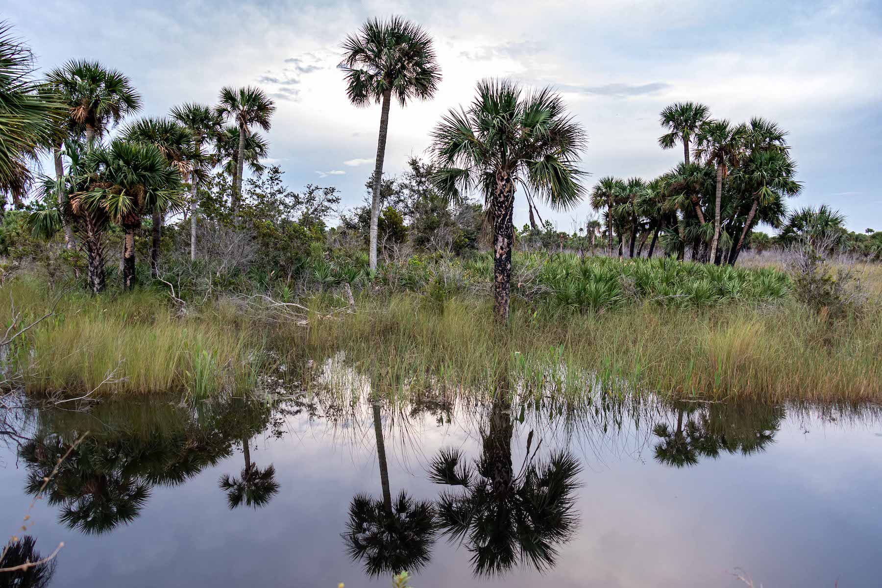 Everglades (USA)