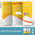 Brochure Template Illustrator