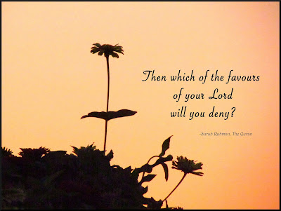 Then Which Of The Favours of Your Lord Will You Deny?