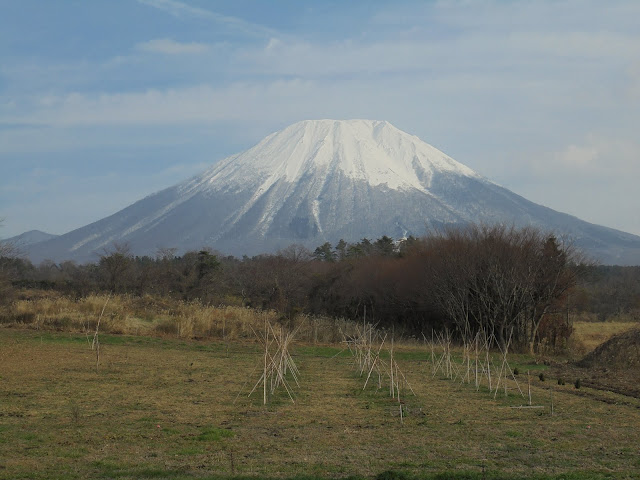 アイノピア入り口からの大山の眺望