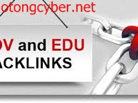 Backlink Edu Gov dan Cara Menggunakannya