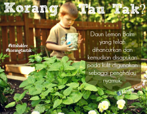 Ubat Hilangkan Ruam Muka Bayi - Contoh Gaes