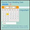 How to select data from Datepicker using Selenium WebDriver ?