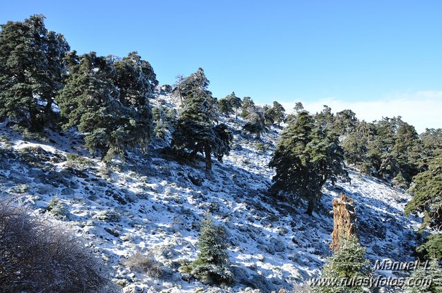 Subida al Torrecilla (II)