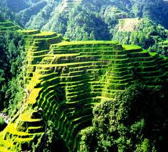 Banaue Rice Terraces di Filipina.