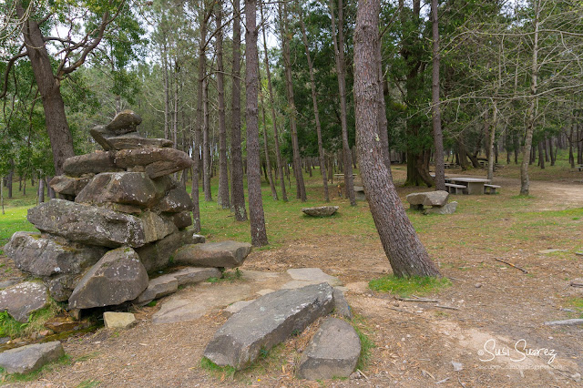 Ruta por el Monte Galiñeiro