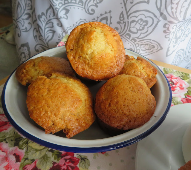 Honey Buttermilk Muffins