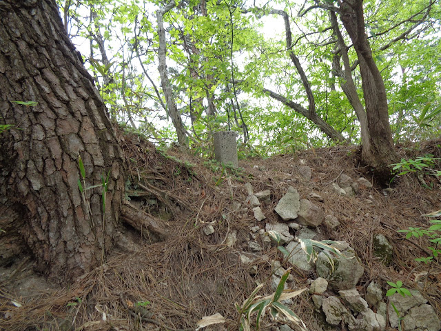 ツバヌキ山の頂上碑