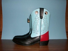 Western Style Boots