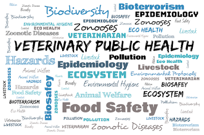 Veterinary Public Health