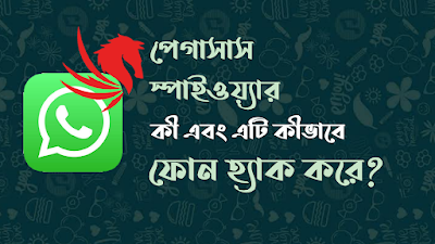 পেগাসাস স্পাইওয়্যার কী এবং এটি কীভাবে ফোন হ্যাক করে?