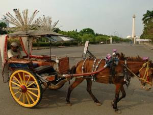 10 Alat Transportasi Tradisional Di Indonesia True10