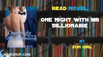 One Night With Mr Billionaire Novel