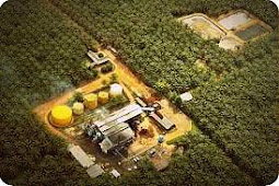 Pengusaha Kelapa Sawit Diminta Bangun Pabrik Turunan Crude Palm Oil (CPO)