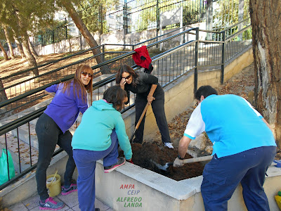 Jardín vertical en el CEIP Alfredo Landa