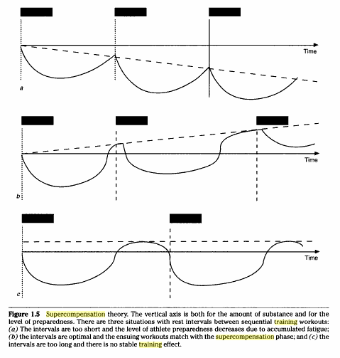Workout Muscle Group Frequency