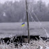 "Следующий флаг Украины поднимем уже в Донецке": бойцы ВСУ дали понять боевикам, что оккупанты потеряли Авдеевку, и скоро на Донбассе у сепаратистов загорится земля под ногами