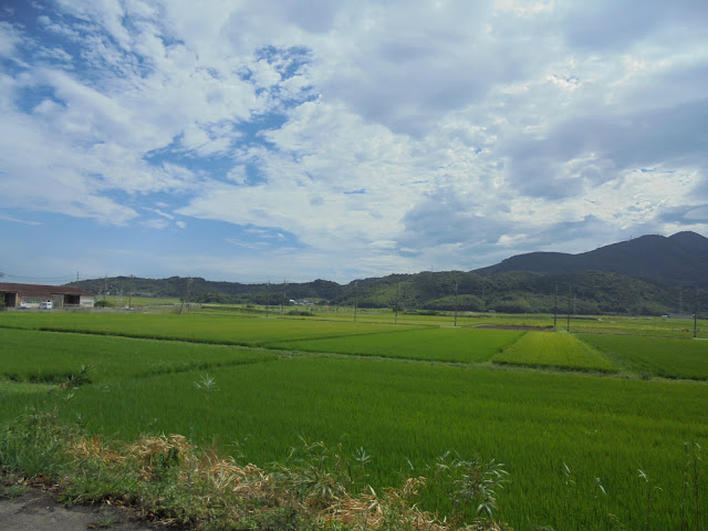 つぼかめ山周辺道路からの美しい眺め