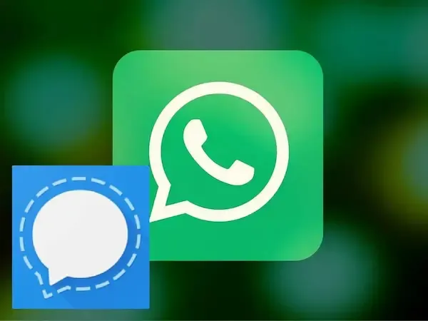 بعض الميزات التي قام تطبيق Signal بنسخها مباشرة  من WhatsApp