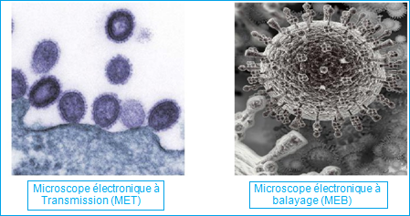 Le microscope électronique à balayage