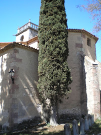 Xiprer davant de Sant Cristòfol